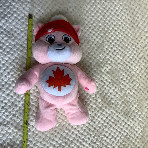 Basic Fun Plush True North Care Bear Canadian Exclusive Pink Red Hat Maple Leaf - Picture 15 of 16